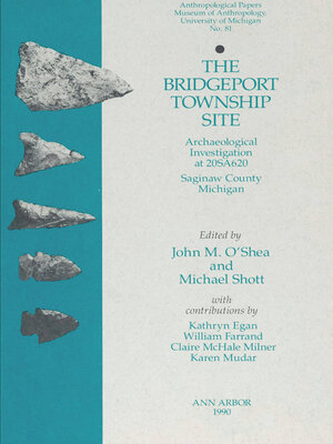cover image of Bridgeport Township Site
